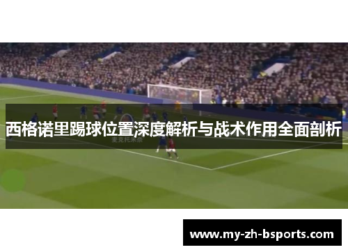西格诺里踢球位置深度解析与战术作用全面剖析
