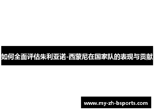 如何全面评估朱利亚诺-西蒙尼在国家队的表现与贡献