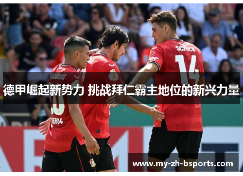 德甲崛起新势力 挑战拜仁霸主地位的新兴力量