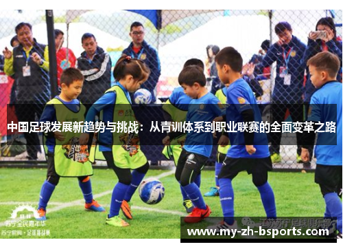 中国足球发展新趋势与挑战：从青训体系到职业联赛的全面变革之路