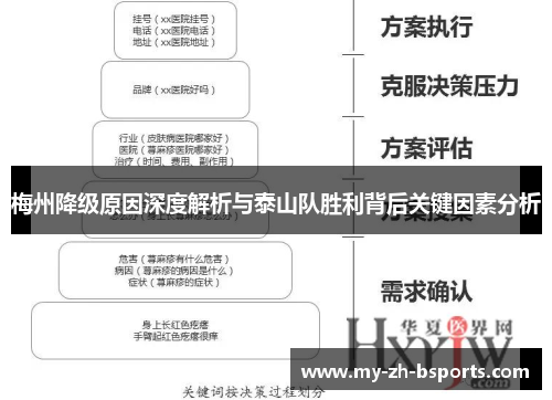 梅州降级原因深度解析与泰山队胜利背后关键因素分析